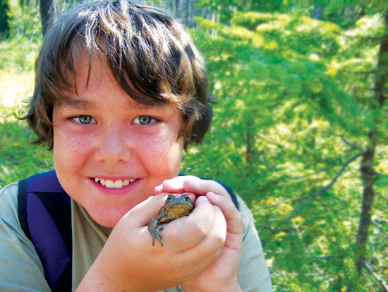 Save BC Wildlife For Our Future Generations